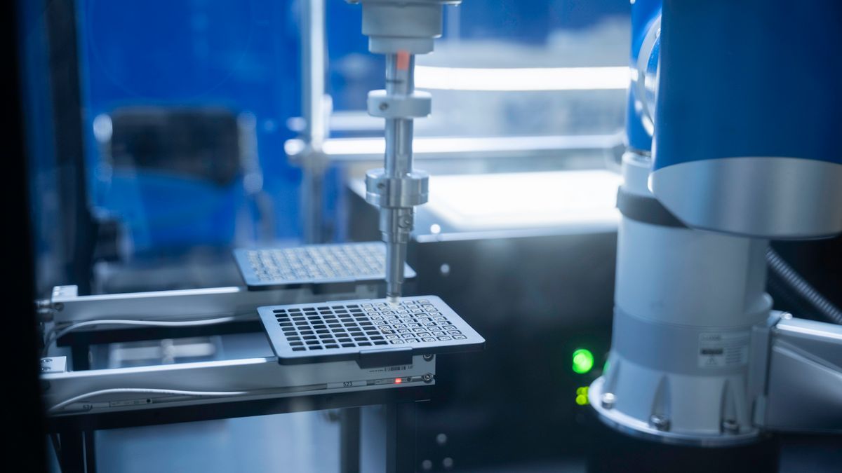 信用风险AI客户案例与交付实录